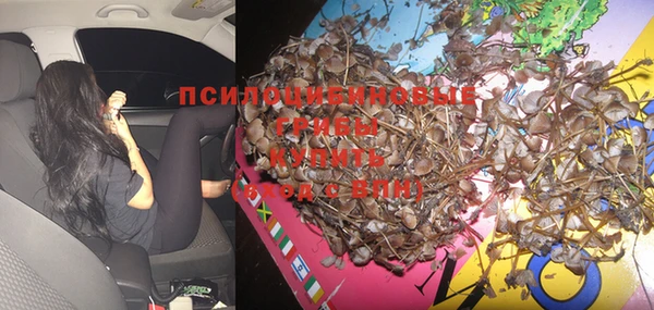 дурь Армянск