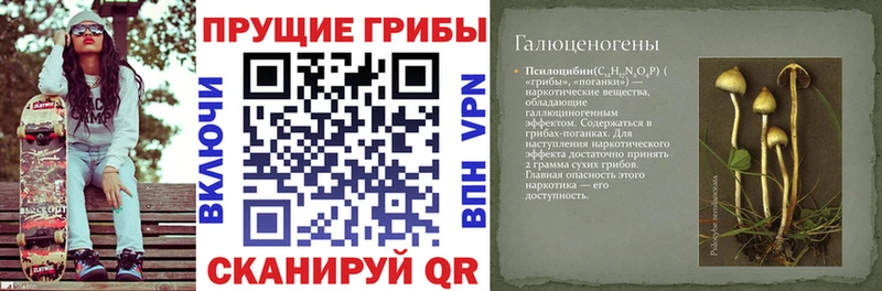 Псилоцибиновые грибы прущие грибы  блэк спрут зеркало  Строитель 